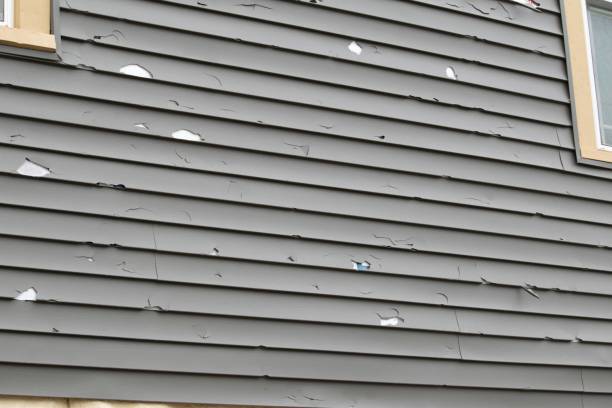 Best Yard Waste Removal  in Bernice, LA